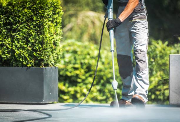 Reliable Pleasant Garden, NC Pressure Washing Services Solutions